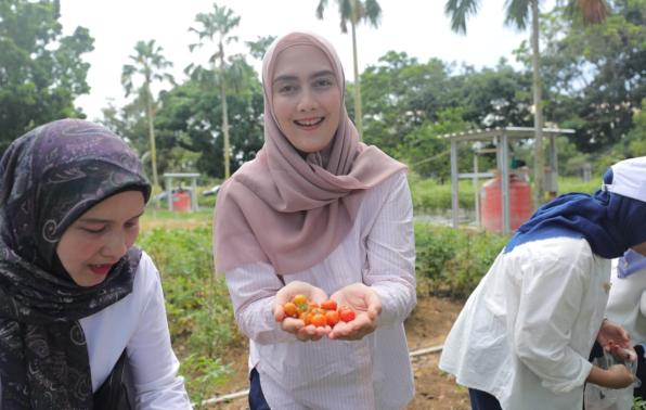 Program Gencar Panen 50 Kilogram Cabai, Bantu Kurangi Pengeluaran Rumah Tangga Masyarakat